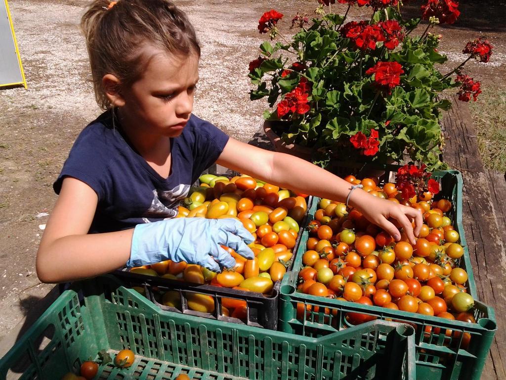 Agriresidence San Pietro Μπιμπιόνε Εξωτερικό φωτογραφία