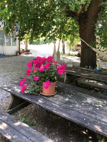 Agriresidence San Pietro Μπιμπιόνε Εξωτερικό φωτογραφία