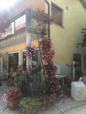 Agriresidence San Pietro Μπιμπιόνε Εξωτερικό φωτογραφία